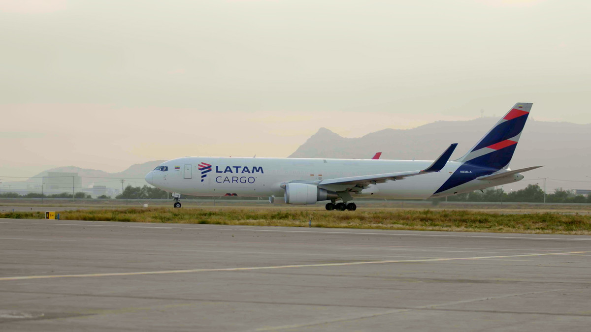 LATAM Cargo moves 196 horses for the 2023 Pan American Games - AIR CARGO  WEEK